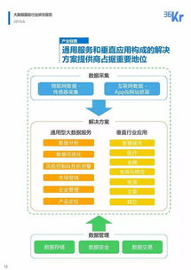 大數(shù)據(jù)服務(wù)行業(yè)研究報(bào)告